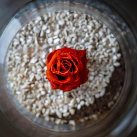 Le Des Pins Avec Et Sauna Chalet Sanchey