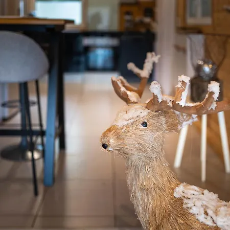 Domek alpejski Le Chalet Des Pins Avec Spa - Terrasse - Parking - Clim - Wifi *