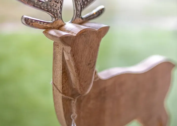 Le Des Pins Avec Et Sauna - Terrasse - Parking - Clim - Wifi