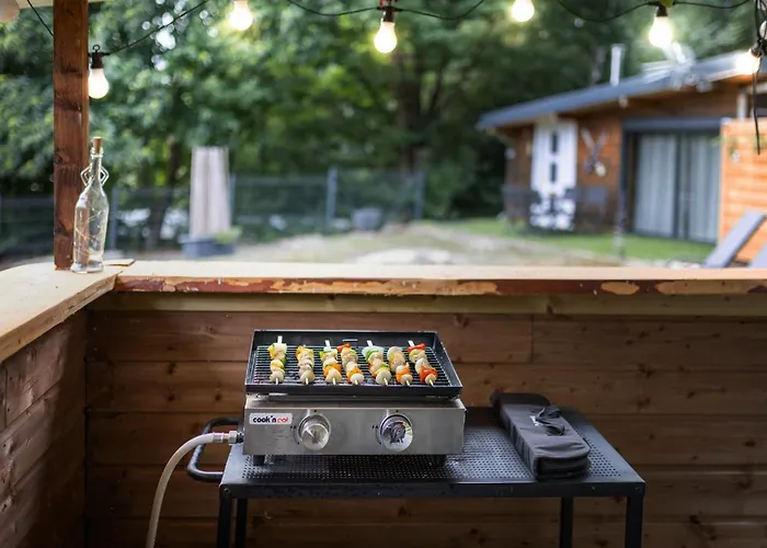 Le Des Pins Avec Et Sauna - Terrasse - Parking - Clim - Wifi * Sanchey
