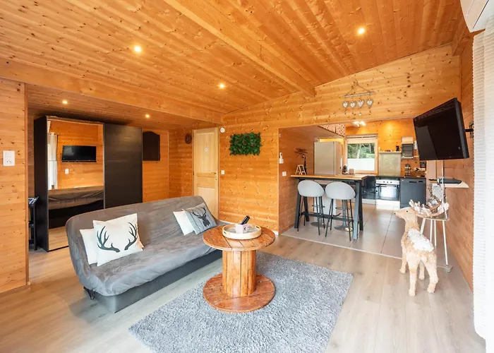 Le Des Pins Avec Et Sauna - Terrasse - Parking - Clim - Wifi * Sanchey